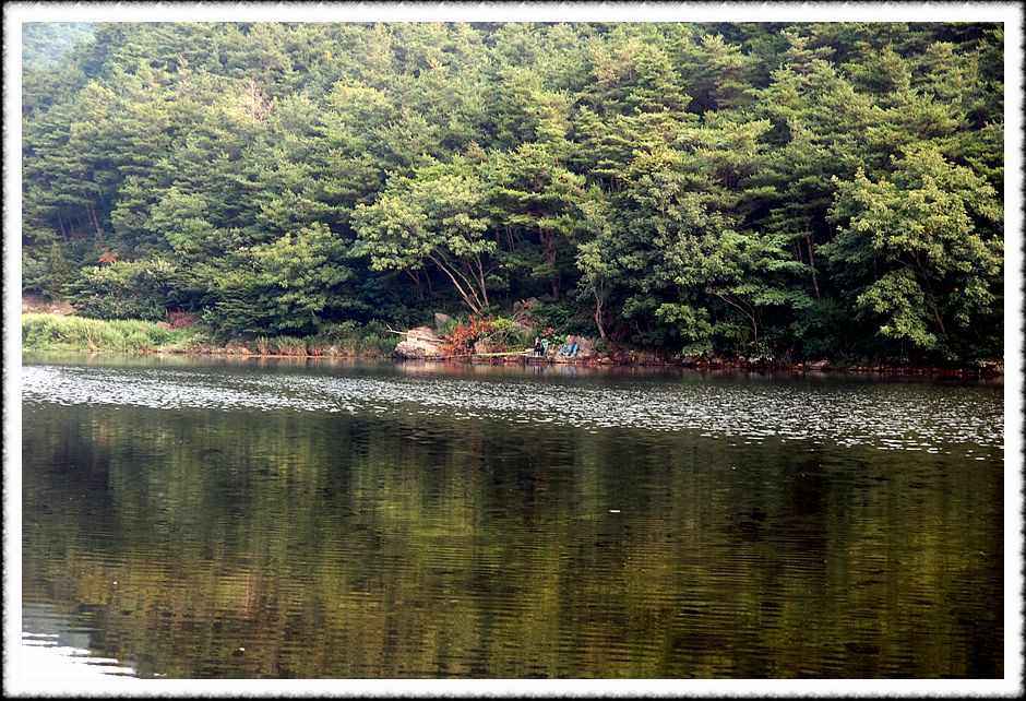 20080805_25.jpg