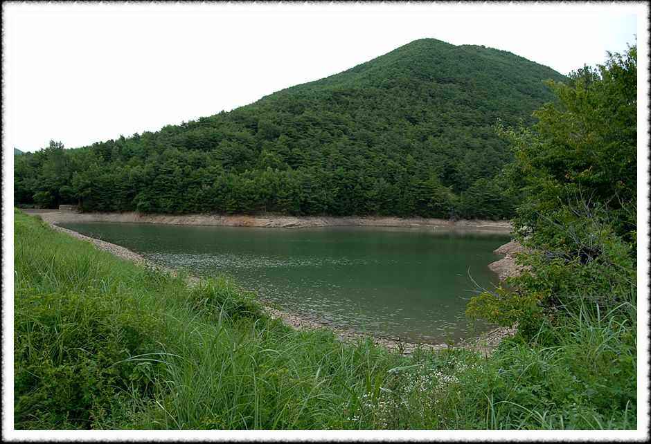20080806_02.jpg