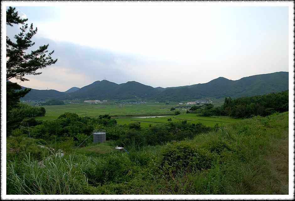 20080806_03.jpg