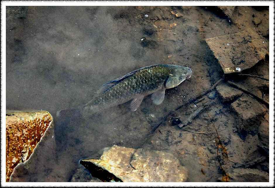20080806_21.jpg