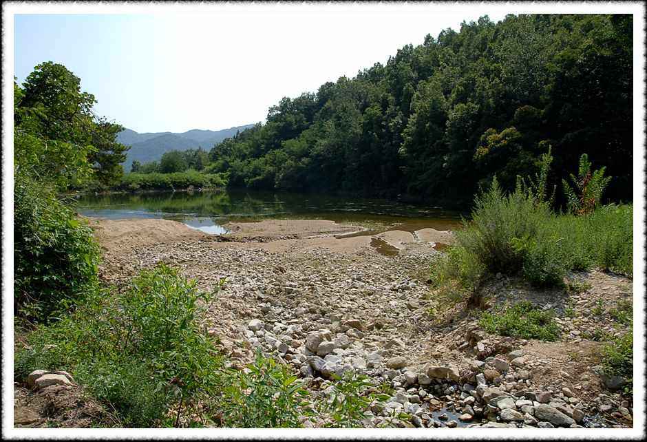 20080807_01.jpg