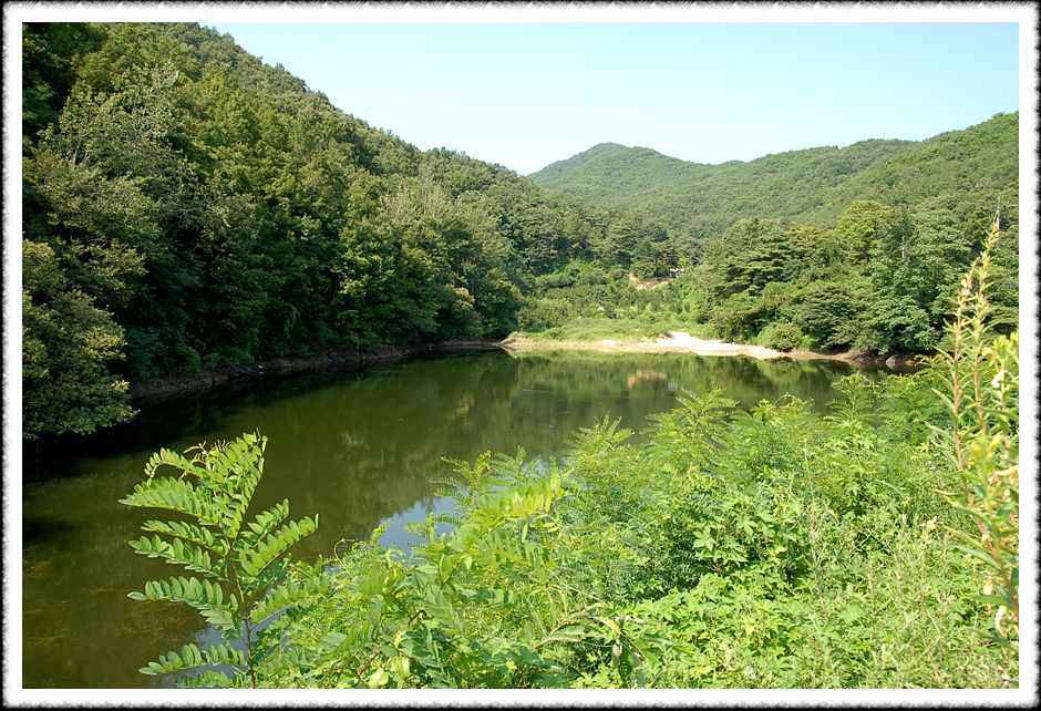 20080807_02.jpg