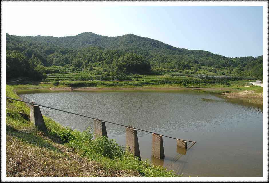 20080807_04.jpg