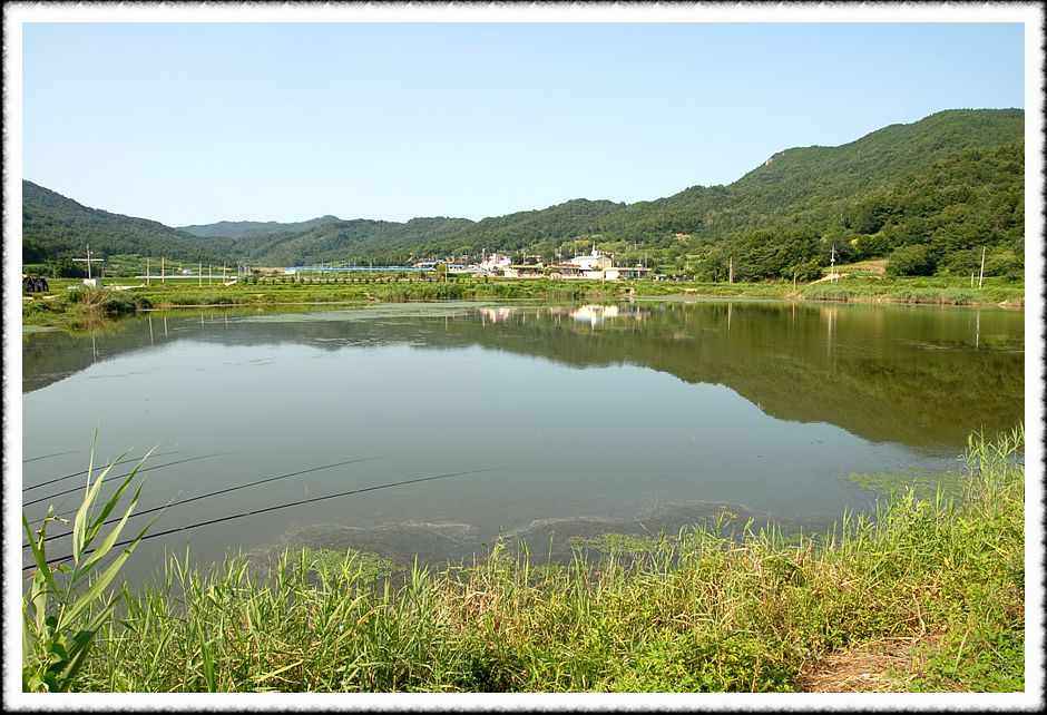 20080807_05.jpg
