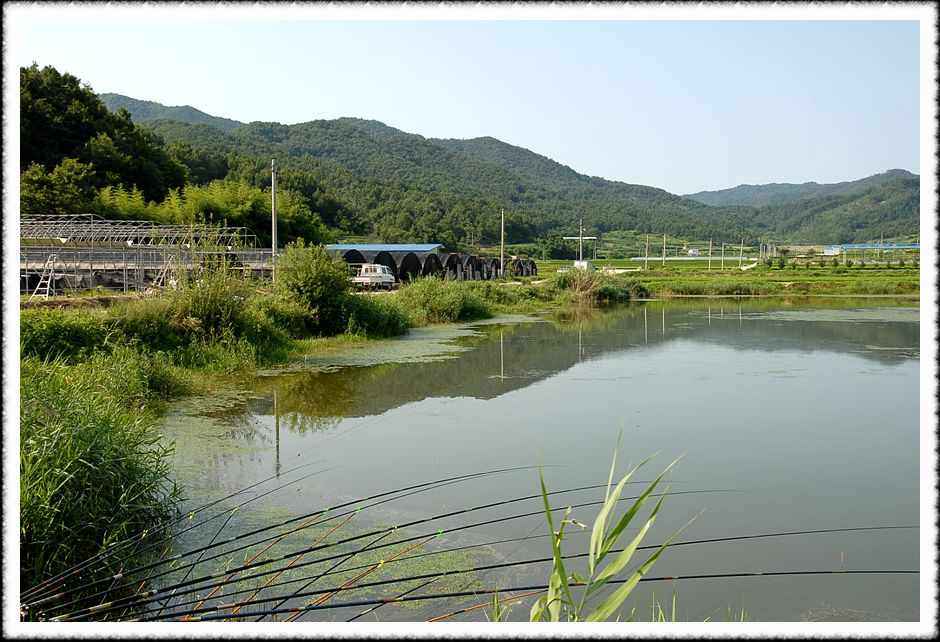 20080807_06.jpg