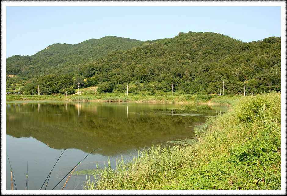 20080807_07.jpg