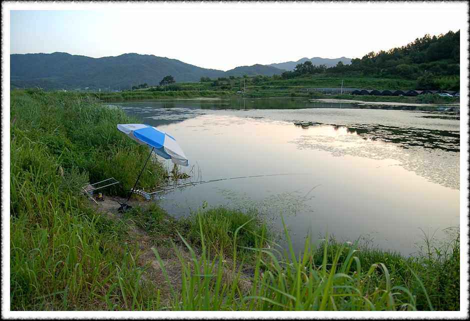 20080807_08.jpg