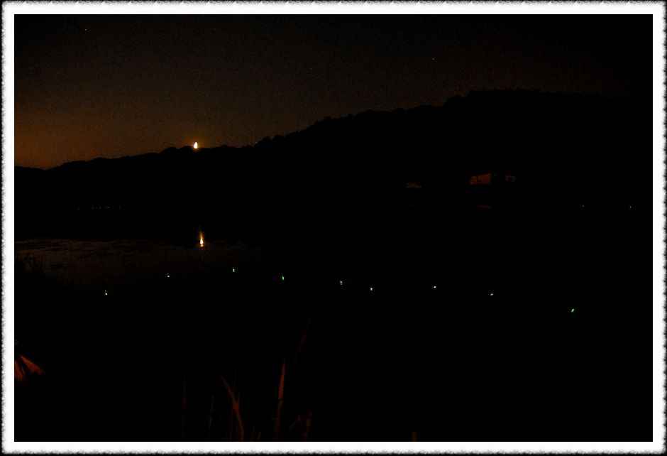 20080807_09.jpg