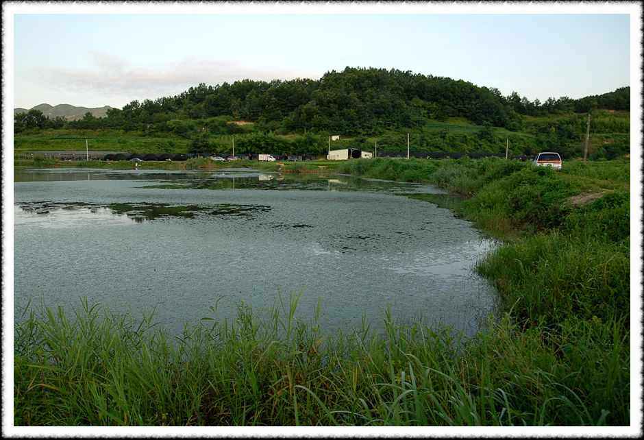 20080807_10.jpg