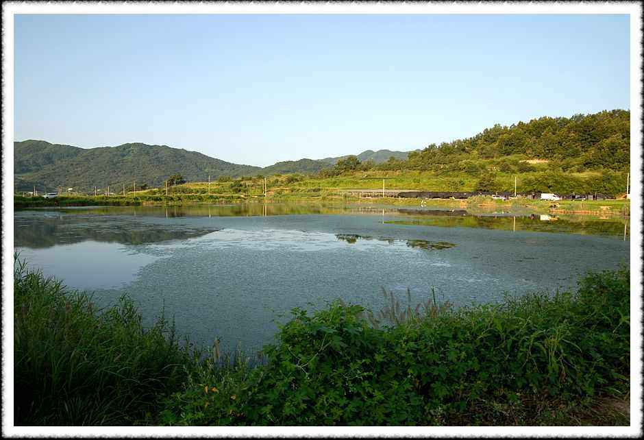 20080807_19.jpg