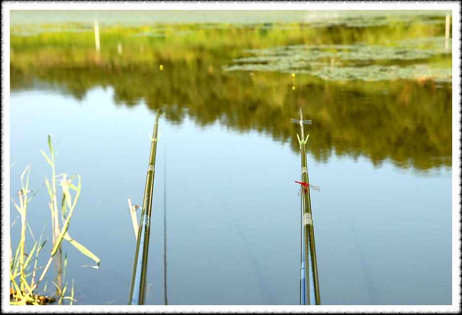 20080807_23.jpg