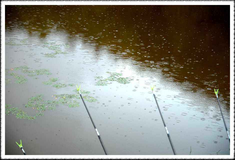 20080808_07.jpg