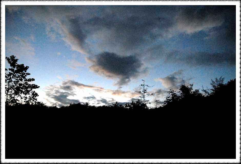 20080808_09.jpg