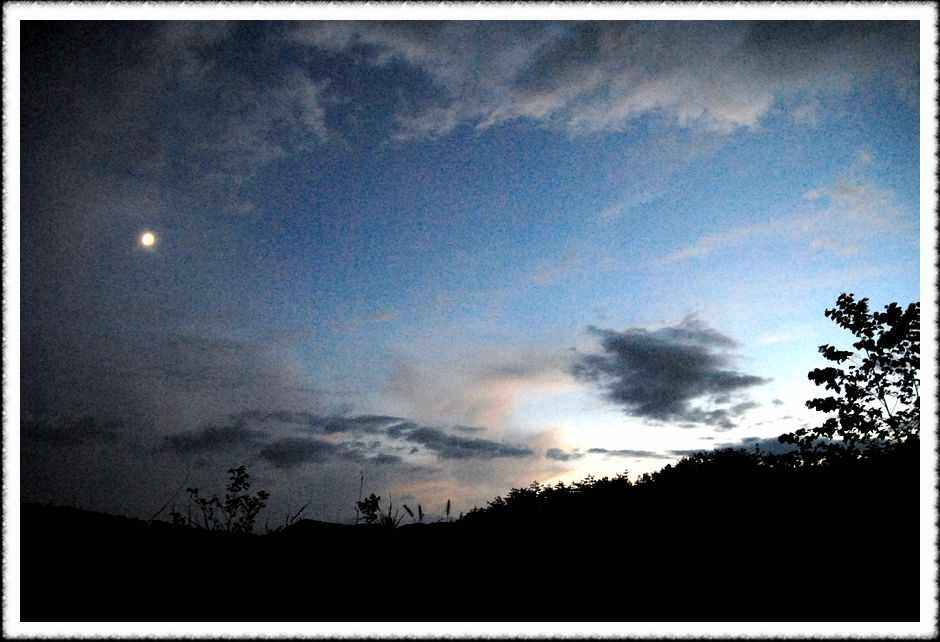 20080808_10.jpg
