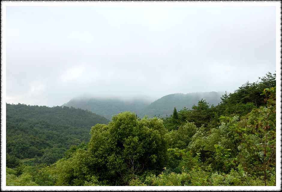 20080808_29.jpg