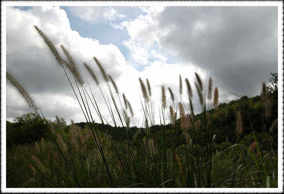 20080808_39.jpg