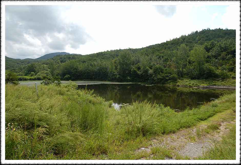 20080808_44.jpg