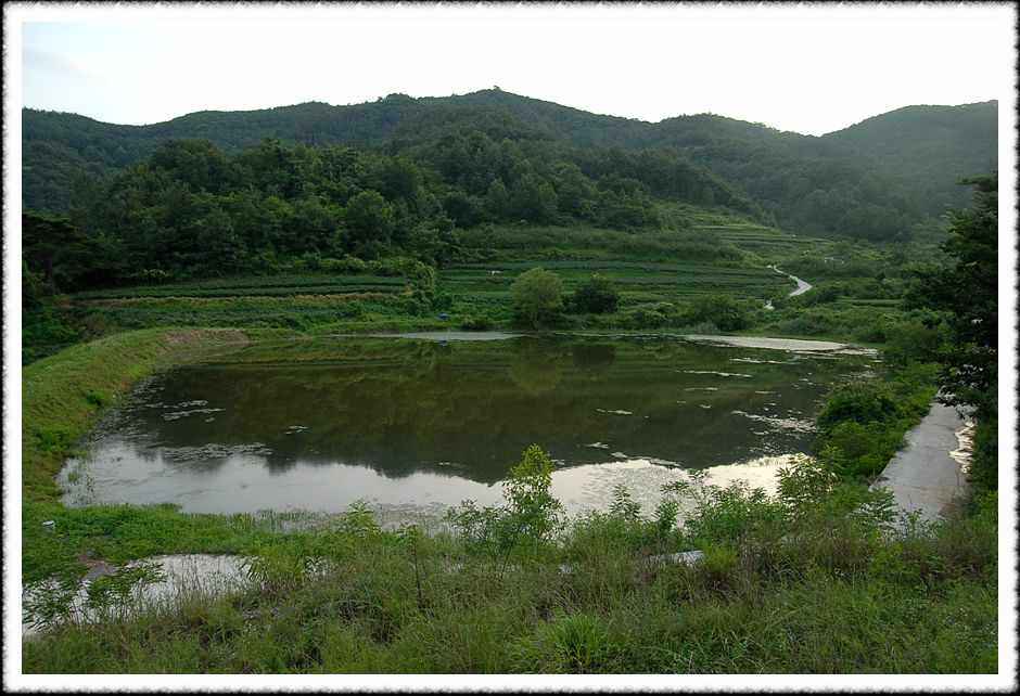 20080814_02.jpg