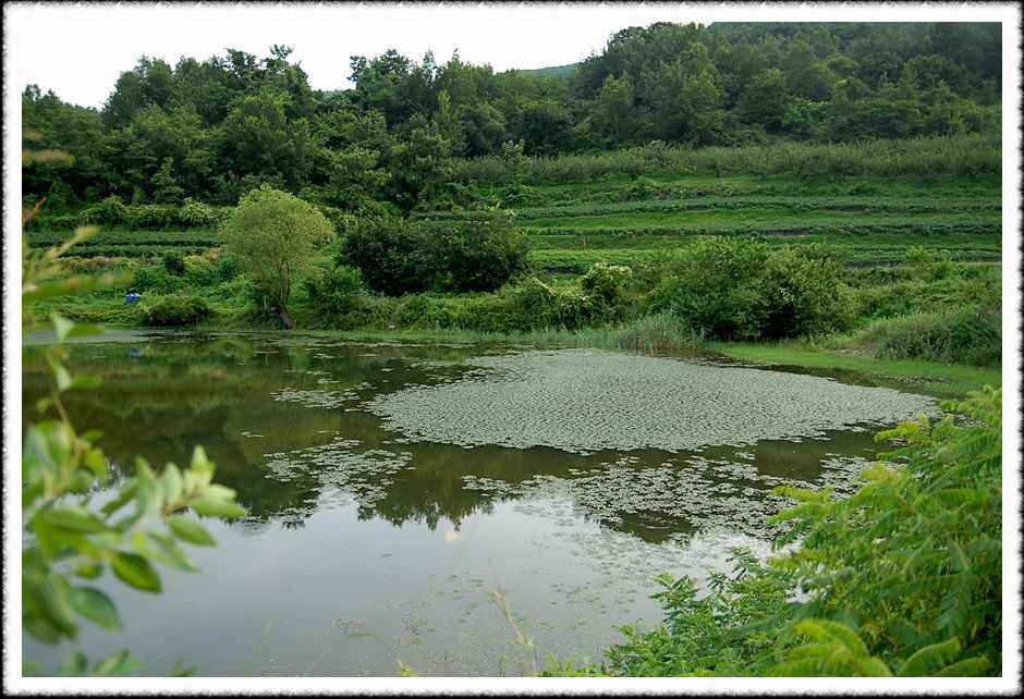 20080814_05.jpg