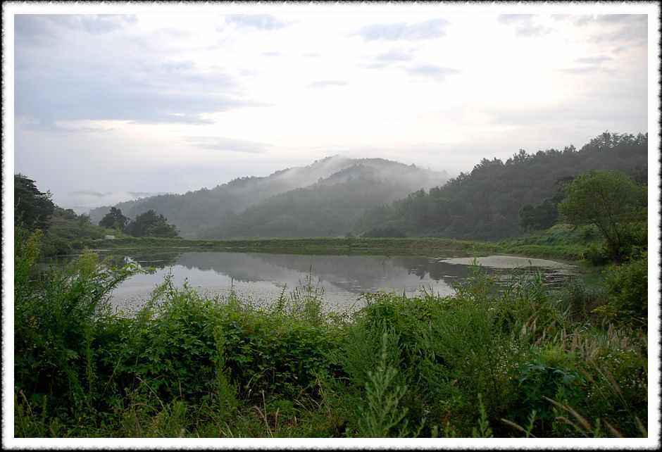 20080814_09.jpg