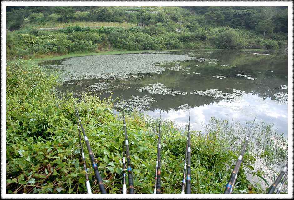 20080814_17.jpg