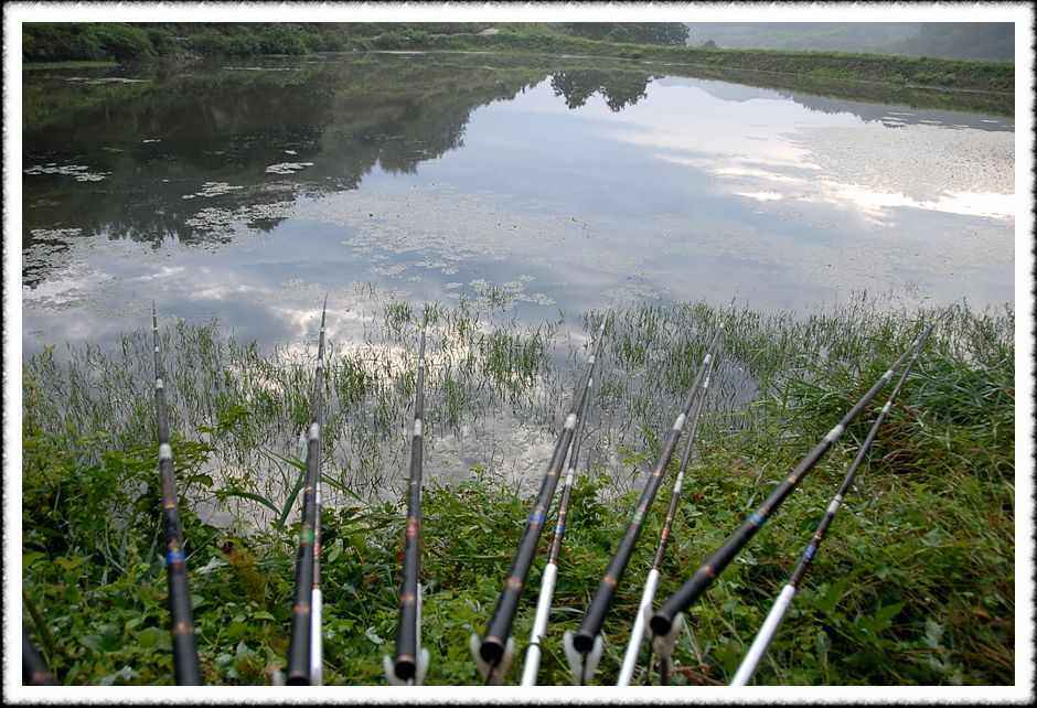 20080814_18.jpg