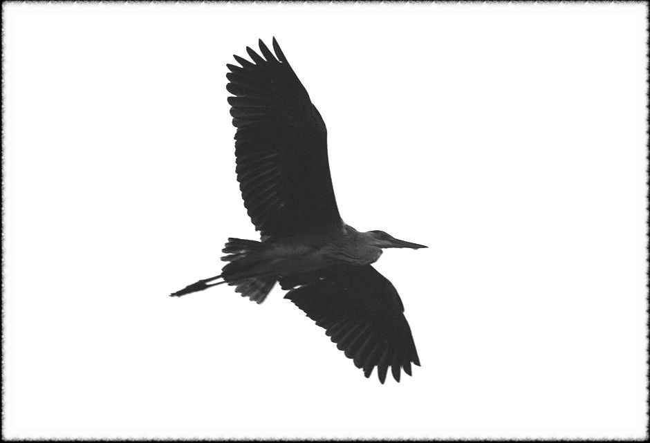 20080814_20.jpg