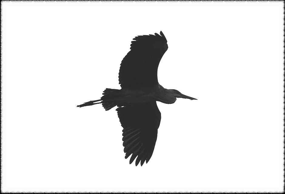 20080814_21.jpg