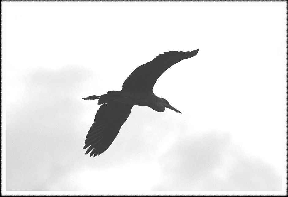 20080814_22.jpg