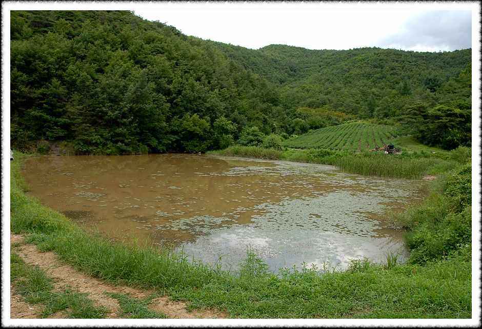 20080814_39.jpg