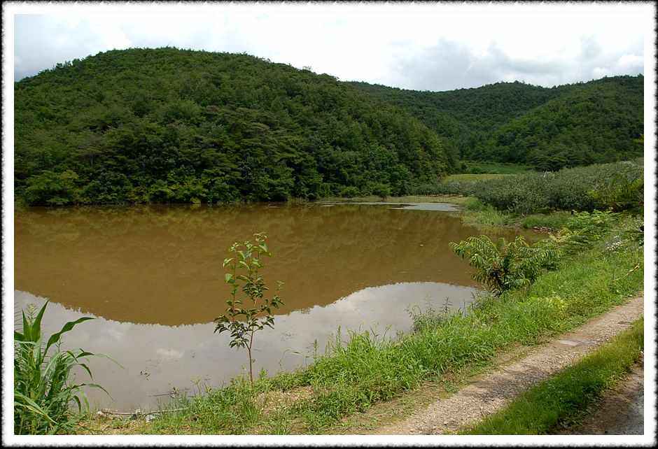 20080814_50.jpg