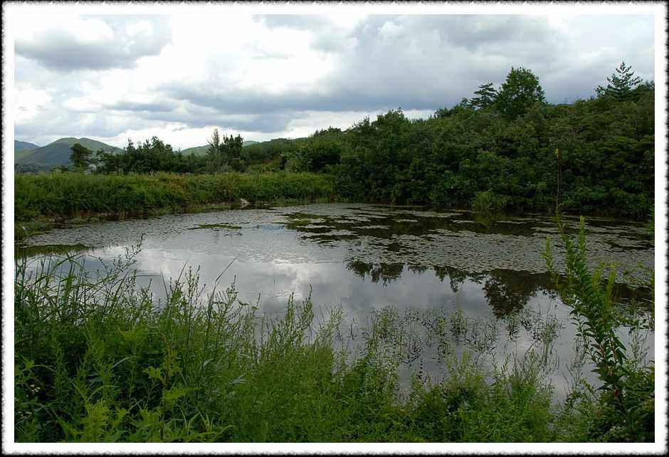 20080814_52.jpg