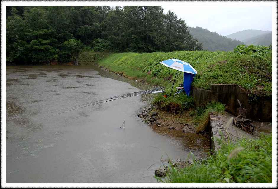 20080814_63.jpg