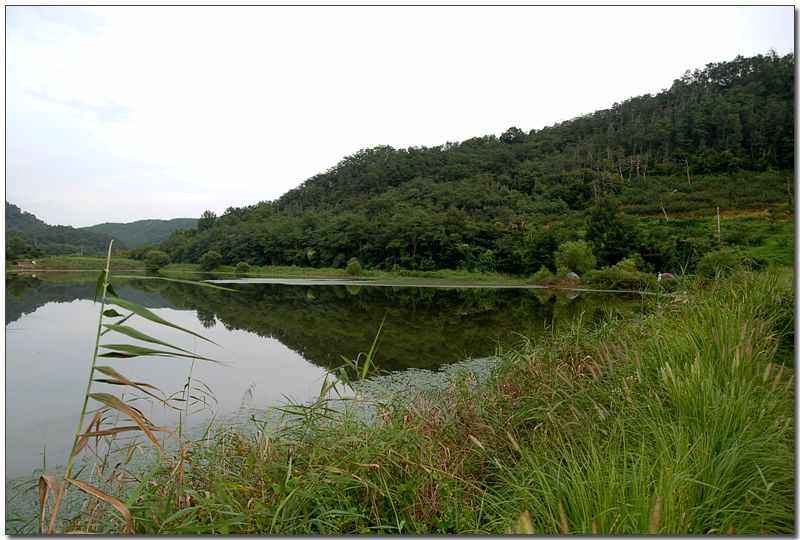20080815d_01.jpg