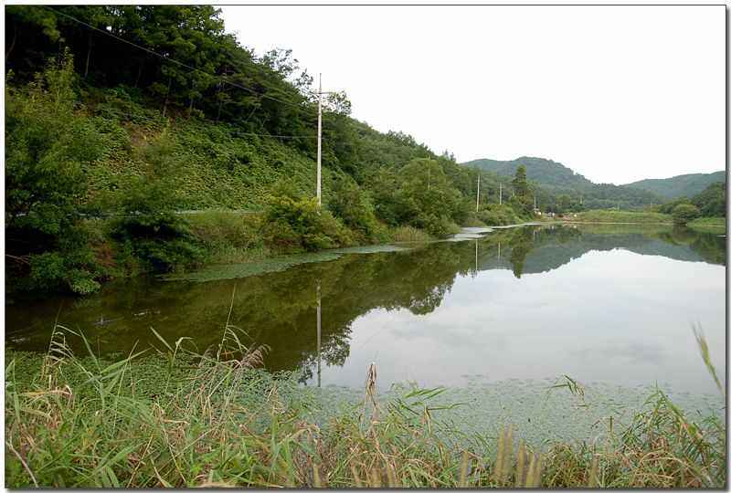 20080815d_02.jpg