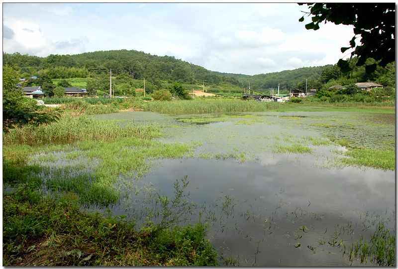 20080815d_04.jpg