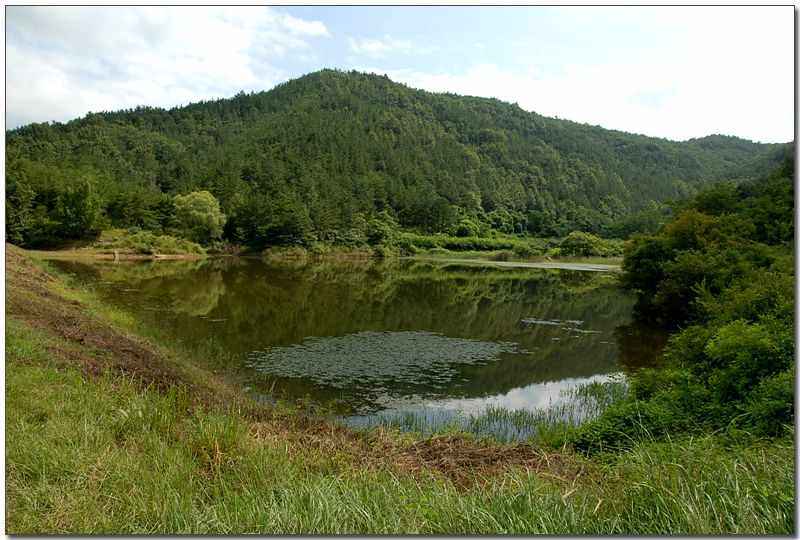 20080815d_06.jpg