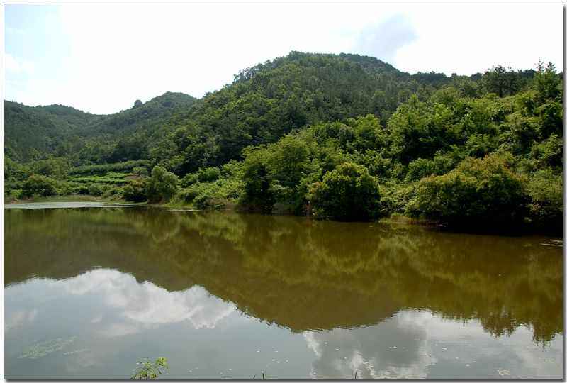20080815d_07.jpg