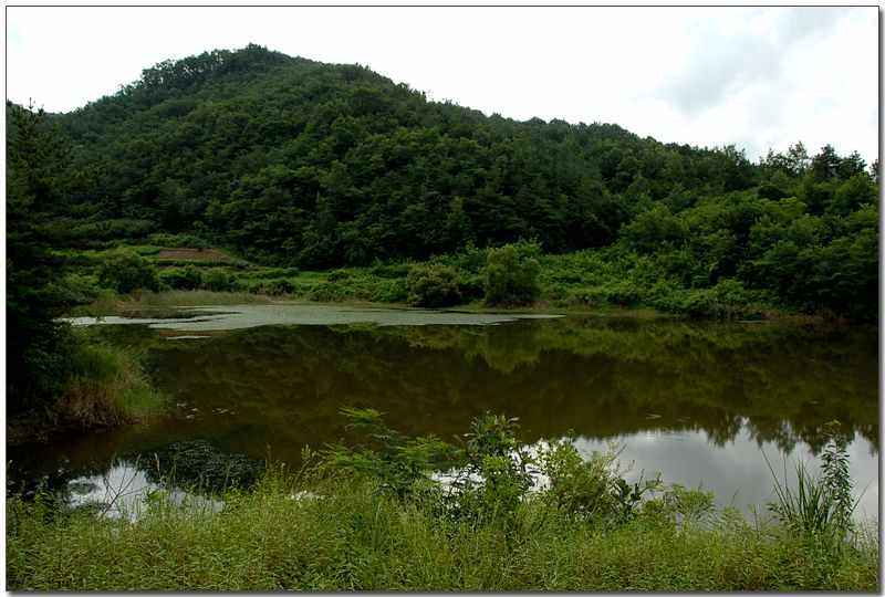 20080815d_08.jpg