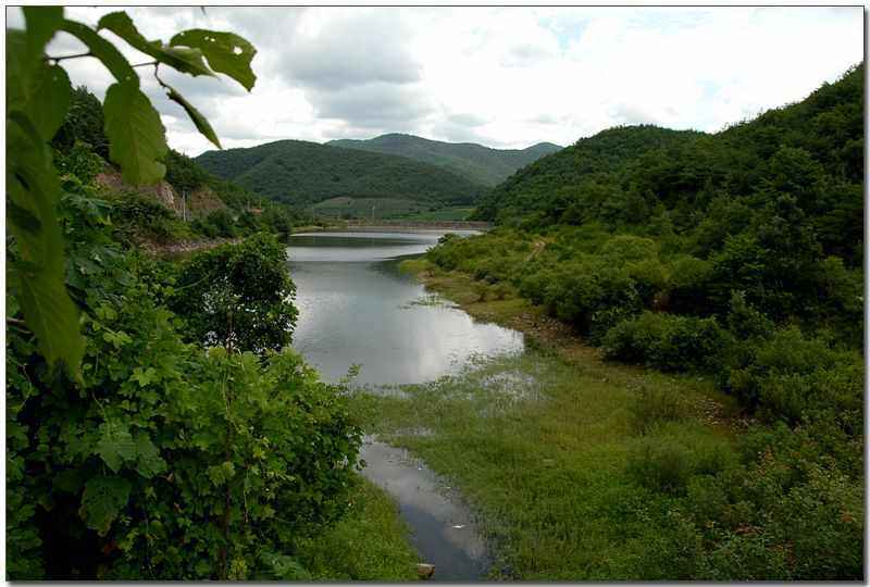 20080815d_10.jpg