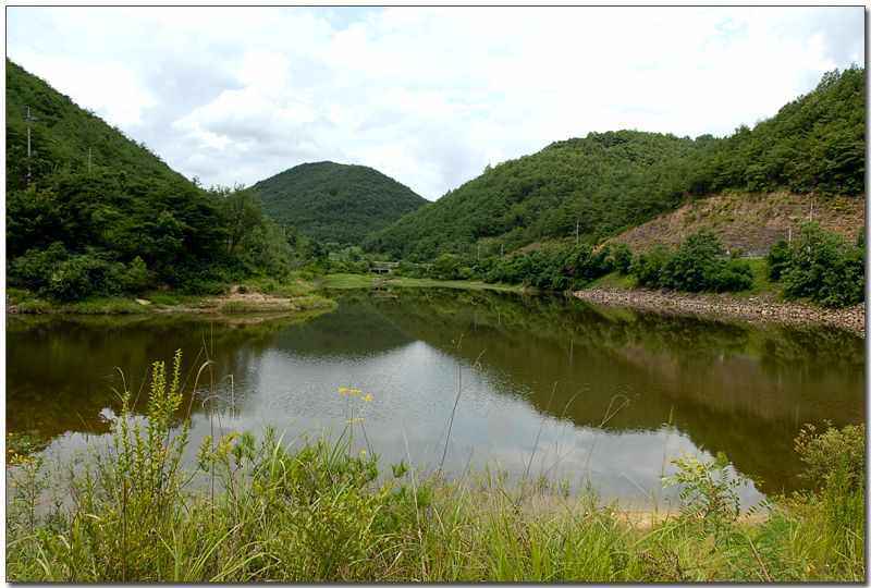 20080815d_14.jpg