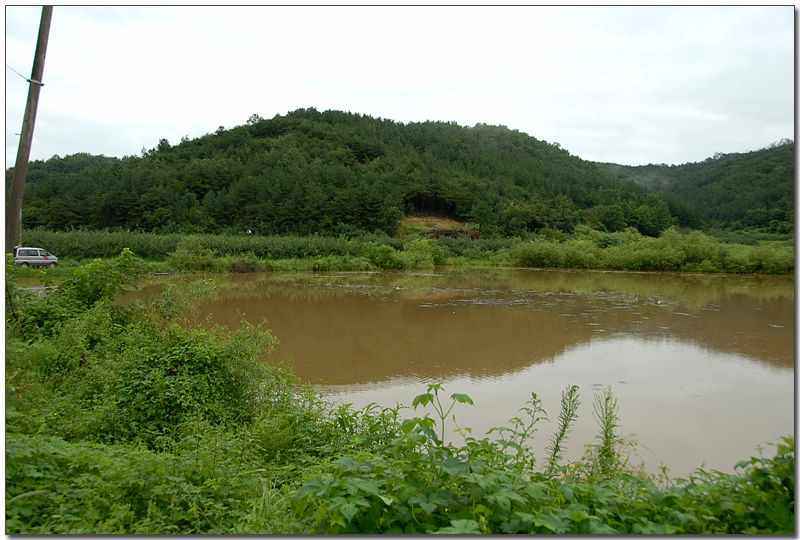 20080816_01.jpg