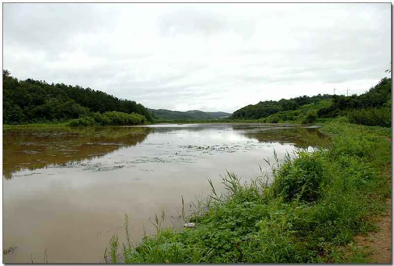 20080816_02.jpg