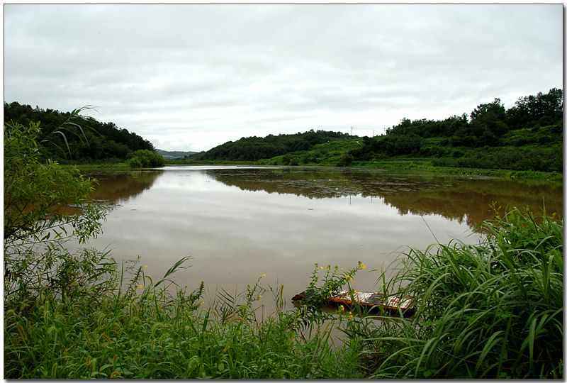 20080816_03.jpg