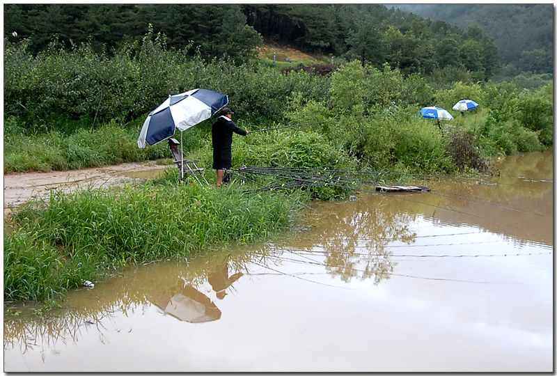 20080816_07.jpg