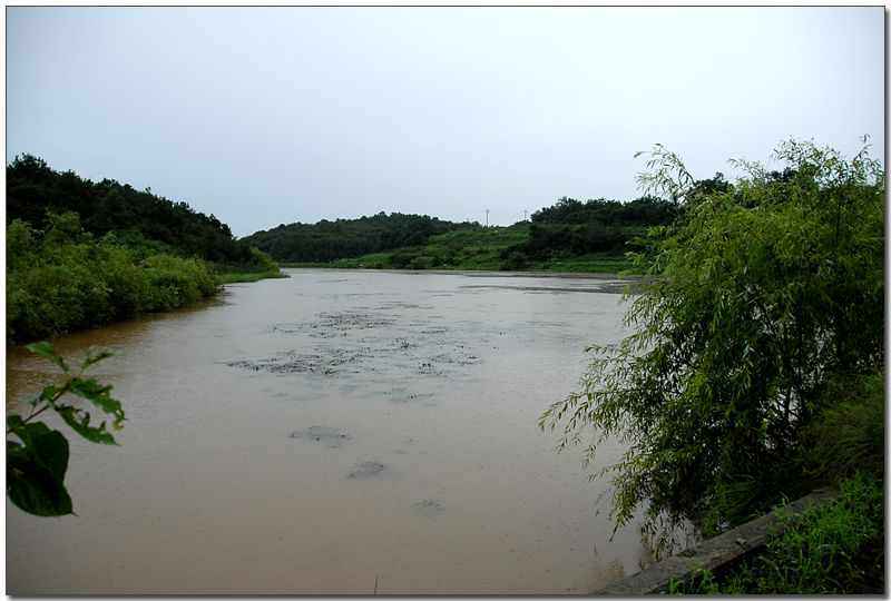 20080816_19.jpg