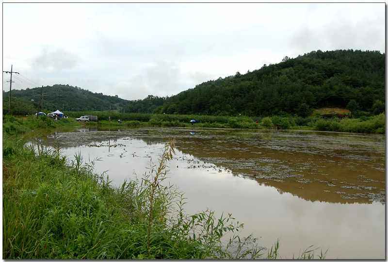 20080816_27.jpg