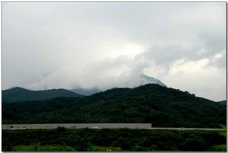 20080816_46.jpg