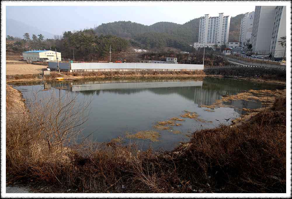 20090200_01.jpg