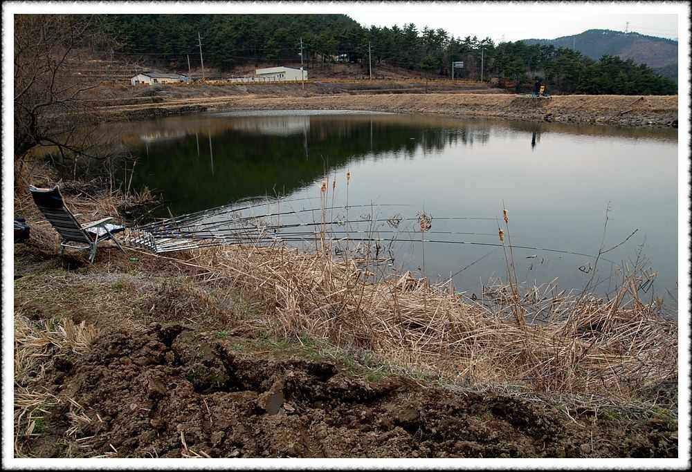 20090200_06.jpg